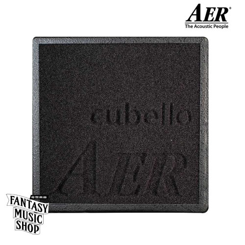 AER Cubello 簡化版 音箱 80W 人聲伴奏均適用 