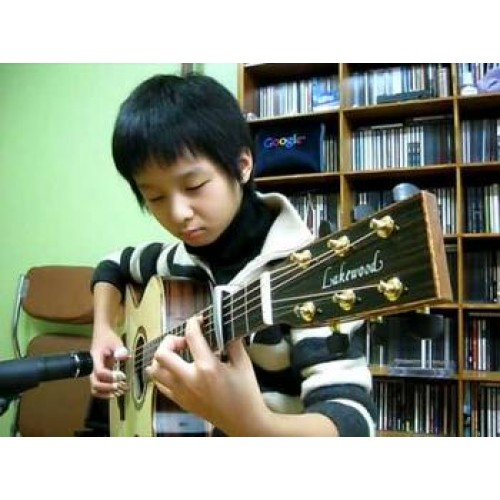 aLaska Pik 鄭晟河Sungha Jung 使用的食指中指無名指套 | 美國原廠正版