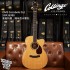 Collings OM3 Cocobolo cut 特選陳年西卡雲杉 高階訂製款 全單板 手工吉他