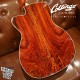Collings OM3 Cocobolo cut 特選陳年西卡雲杉 高階訂製款 全單板 手工吉他