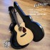 Collings OM3 Cocobolo cut 特選陳年西卡雲杉 高階訂製款 全單板 手工吉他