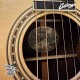 Collings Parlor Deluxe T 12-Fret 較小桶身 高階訂製款 全單板 手工吉他
