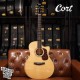 Cort FM-666 玫瑰木全單板 含Bevel靠肘 獨家規格型號 
