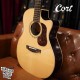 Cort FM-666 玫瑰木全單板 含Bevel靠肘 獨家規格型號 