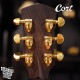 Cort FM-666 玫瑰木全單板 含Bevel靠肘 獨家規格型號 