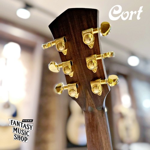 Cort FM-666 全單板 含Bevel靠肘 獨家規格型號 