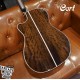 Cort FM-777 Ovangkol全單板 含Bevel靠肘 獨家規格型號 