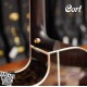 Cort FM-777 Ovangkol全單板 含Bevel靠肘 獨家規格型號 