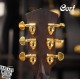 Cort FM-777 Ovangkol全單板 含Bevel靠肘 獨家規格型號 