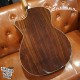 Eastman AC422CE 全單板插電民謠吉他