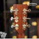 Eastman E1D Deluxe 限量款 全單板民謠吉他