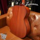 Eastman E1OM 全單板民謠吉他