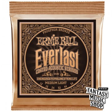 Ernie Ball 2546 民謠吉他弦 .012 Everlast (覆膜磷銅弦)