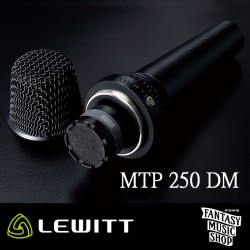 LEWITT MTP 250 DM – 手持有線動圈麥克風