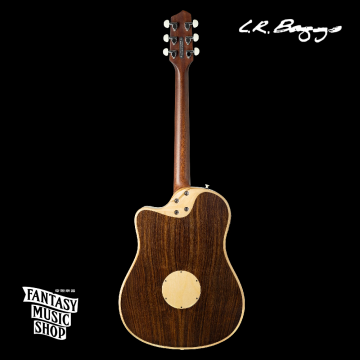 美國 LR Baggs AEG-1 輕量 薄桶 電民謠吉他 | 搭配高階 HiFi Duet拾音系統 