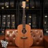 Martin D-X1E Koa 插電民謠吉他