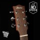 Maton CW80 80th 808 週年限量紀念琴｜澳洲製 插電全單板 民謠吉他