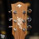 Maton EBG808TE 全單板民謠吉他 | Tommy Emmanuel Model | 澳洲製