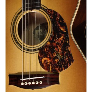 Maton 護板 | 玳瑁色款吉他刷板 PICKGUARD