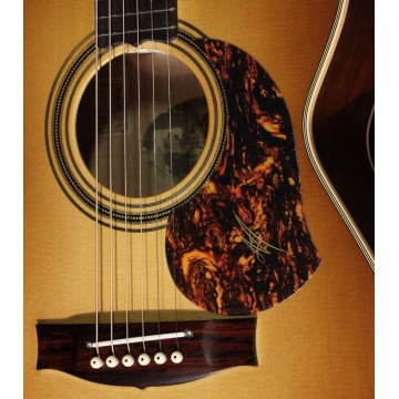 Maton 護板 | 玳瑁色 吉他刷板 PICKGUARD