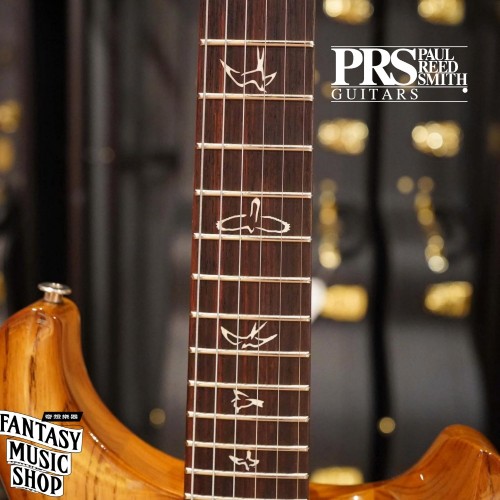 PRS 沼澤梣木 2026最新限量版電吉他 CE 24-08 Swamp Ash Limited Edition 