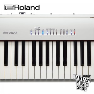 Roland FP-30X 88鍵數位鋼琴 白色 整套 | 含腳架,琴椅, 延音踏板