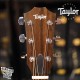 Taylor 112ce Special Edition Honeyburst 面單板插電民謠吉他