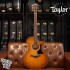 Taylor 112ce Special Edition Honeyburst 面單板插電民謠吉他