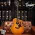 Taylor 214ce Special Edition Honeyburst 面單板插電民謠吉他