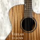 Veelah VGACMM桃花心木面板 | 經濟款入門缺角合板民謠吉他