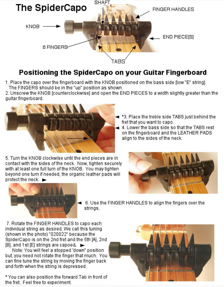 spider capo